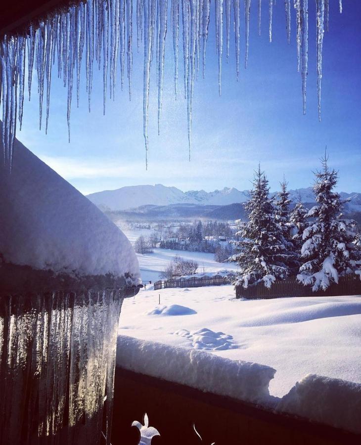 Villa Dorota Zakopane Exteriér fotografie