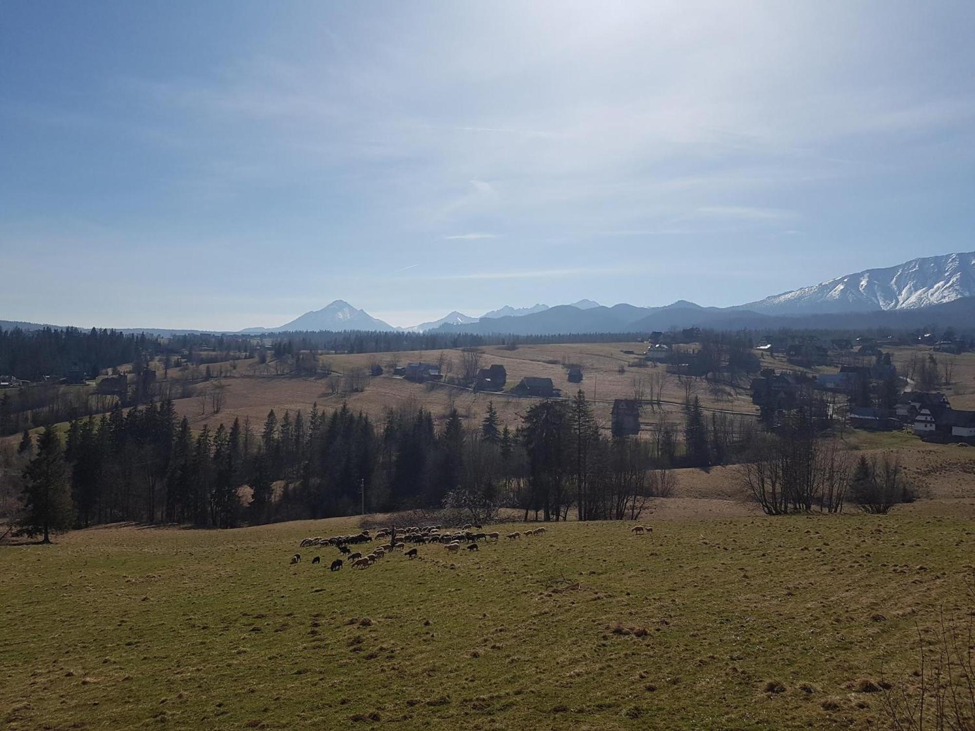 Villa Dorota Zakopane Exteriér fotografie